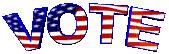 usa_vote_lg_clr